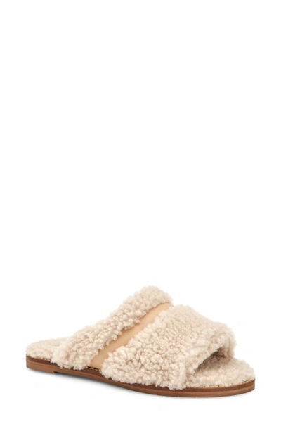Aquatalia Women's Alina Shearling & Leather Slippers In Natural,cappuccino