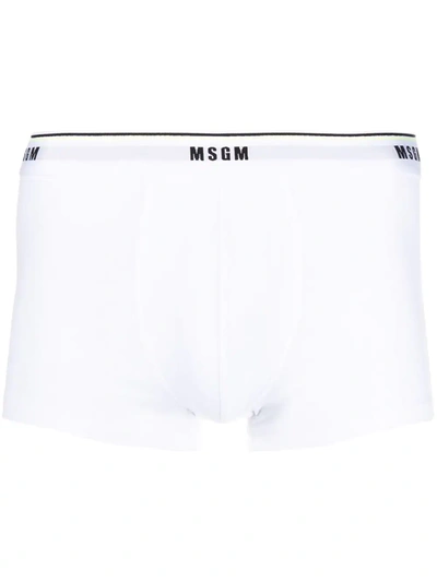 Msgm Logo Waistband Briefs In White