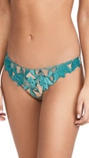 Fleur Du Mal Lily Velvet-trimmed Embroidered Stretch-tulle Thong In Deep Teal