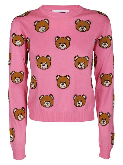 Moschino Pull In Cotone Con Teddy-all-over In Pink,brown,black