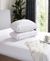 Martha Stewart Feather & Down 2-pack Pillow, Jumbo In White