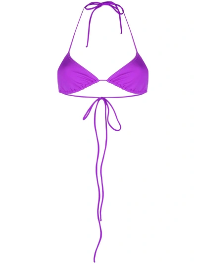 Ack Stella Bikini Top In Purple