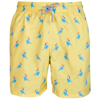 Robert & Son Beachwear Ltd Parrot Swim Shots