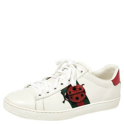 Pre-owned Gucci White Leather Embroidered Ladybird And Pineapple Ace Trainers Size 37