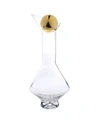 Classic Touch Glass Diamond Shaped Decanter With Gold Tone Reflection And Lid In Clear