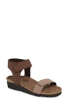 Naot Alba Sandal In Stone/ Coffee Bean