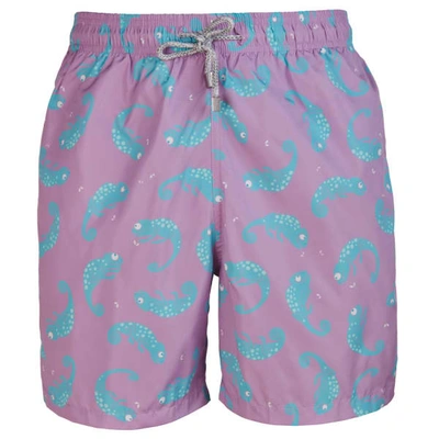 Robert & Son Beachwear Ltd Chameleon Swim Shorts