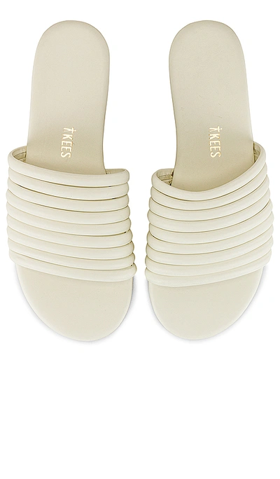 Tkees Caro Sandal In Cream