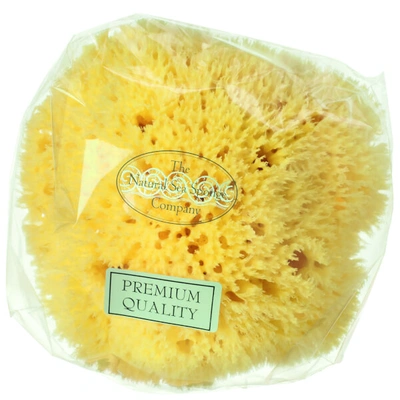 Hydréa London Honeycomb Sea Sponge, Size 4 - 4.5