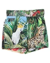 Dolce & Gabbana Woman Shorts & Bermuda Shorts Green Size 2 Cotton In Green