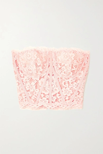 Dolce & Gabbana Grosgrain-trimmed Cotton-blend Corded Lace Bustier Top In Pink