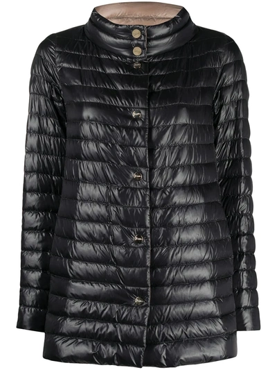 Herno Reversible Snap-button Fastening Padded Jacket In Black