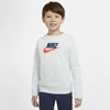 Nike Sportswear Club Fleece Big Kids' Crew In Pure Platinum