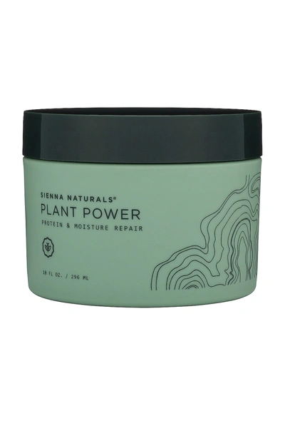 SIENNA NATURALS PLANT POWER VEGAN HAIR MASK,SNAT-WU7