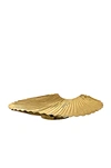 Aytm Concha Dish In Gold