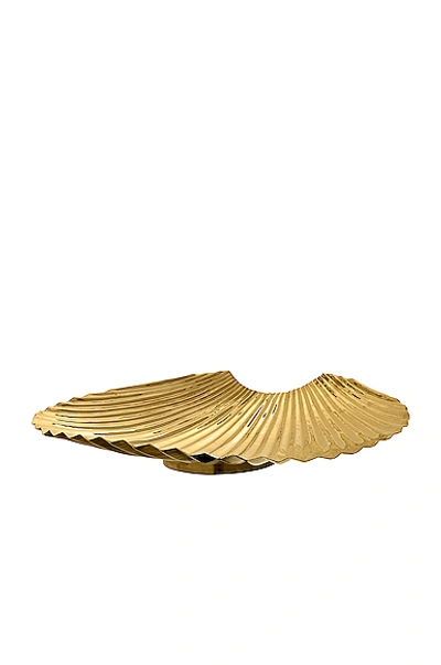 Aytm Concha Dish In Gold