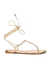 GIANVITO ROSSI GWYNETH FLAT SANDALS,GIAN-WZ506