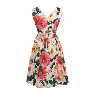 Dolce & Gabbana Dress With Camelia Print In Pink