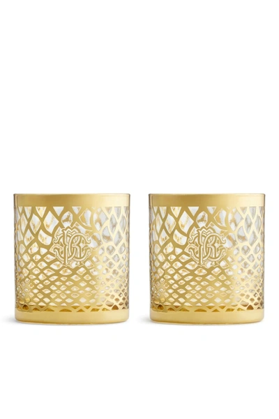 Roberto Cavalli Home Marrakesh Gold Tumbler Glass Set In Yellow