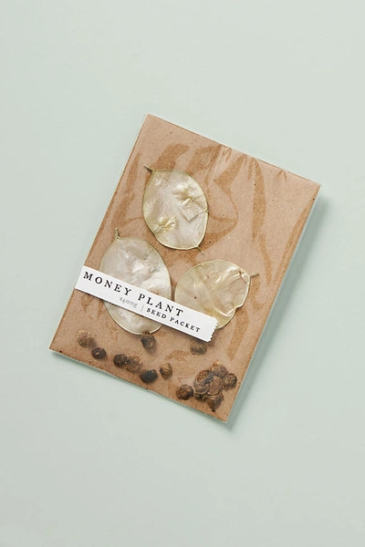 Rosy Rings Blossom Seed Packet In White