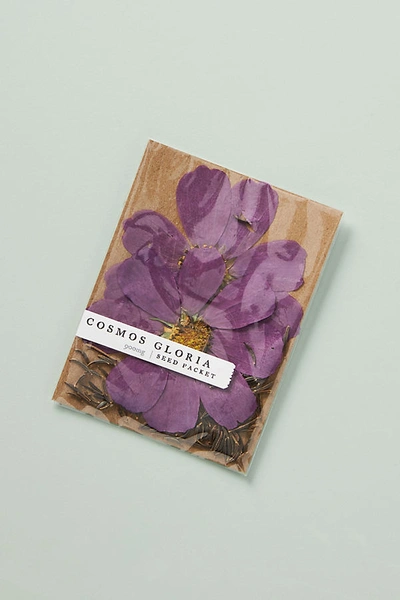 Rosy Rings Blossom Seed Packet In Purple