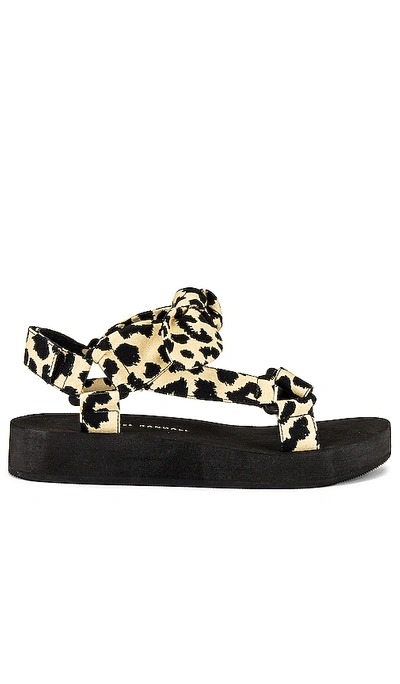 Loeffler Randall Maisie Bow-embellished Leopard-print Canvas Sandals In Brown