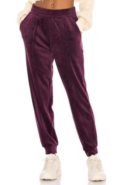 1.state Velour Joggers In Deep Plum