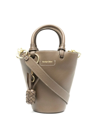 See By Chloé Small Cecilya Tote Bag In Brown