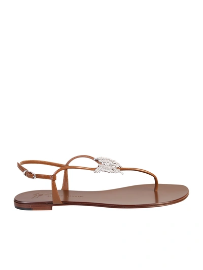 Giuseppe Zanotti Embellished Thong Sandals In Brown
