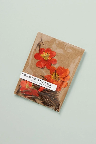 Rosy Rings Blossom Seed Packet In Orange