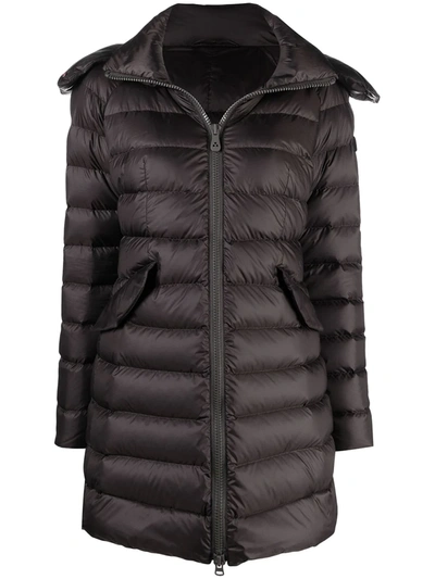 Peuterey Padded Down Jacket In Brown