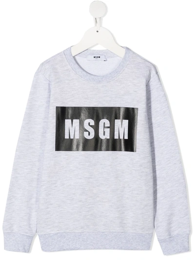 Msgm Kids' Logo-print Cotton Sweatshirt In Grey