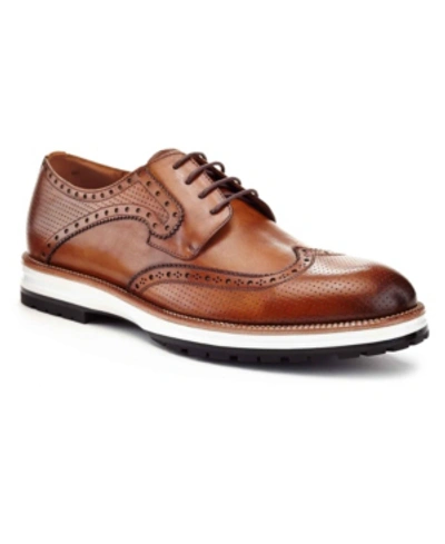 Ike Behar Men's Billy Oxford Shoes In Brown