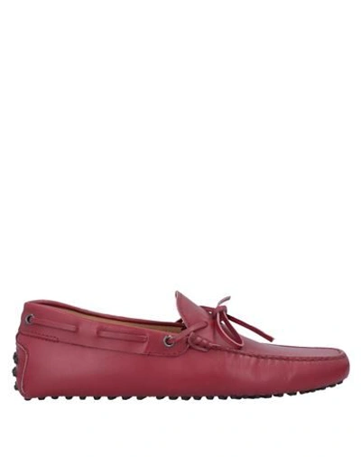 Tod's Loafers In Garnet