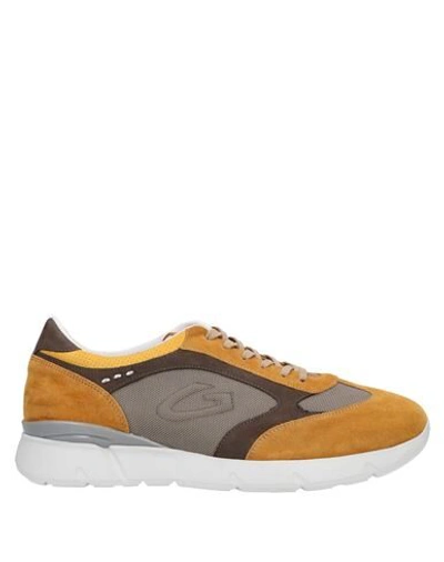 Alberto Guardiani Sneakers In Ocher