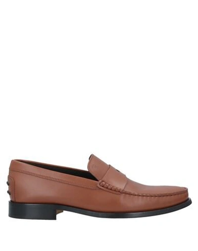 Tod's Loafers In Brown