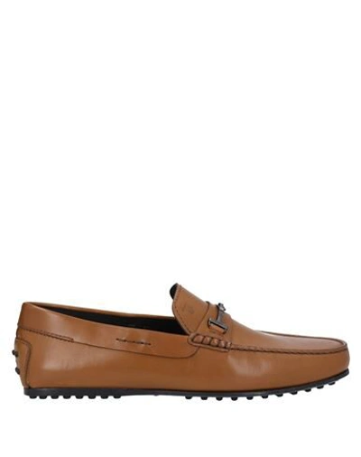 Tod's Loafers In Brown