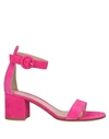 Gianvito Rossi Sandals In Fuchsia