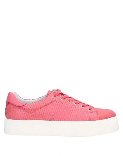 Frau Sneakers In Coral