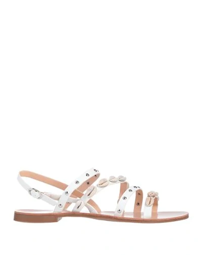 Caffenero Sandals In White