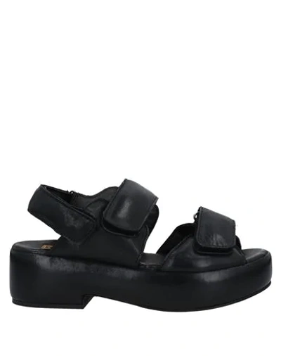 Moma Sandals In Black