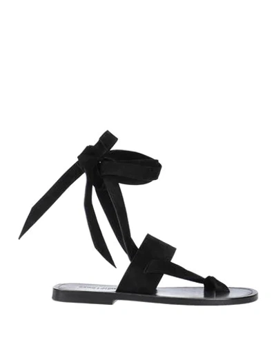 Saint Laurent Toe Strap Sandals In Black