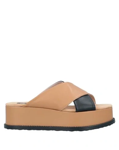 Tosca Blu Sandals In Brown