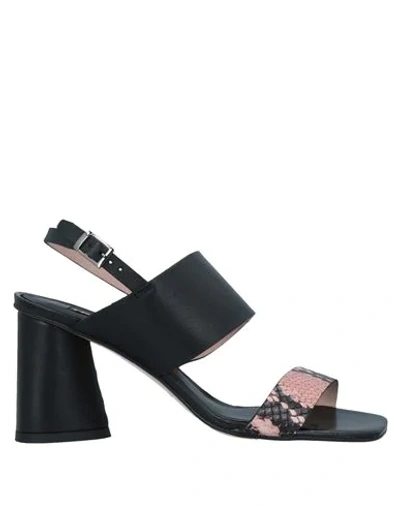 Tosca Blu Sandals In Pink