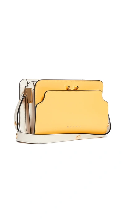 Marni Trunk Reverse Bag In Sun/glass