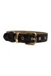 DOGS OF GLAMOUR EVELYN LUXURY COLLAR,767843378238