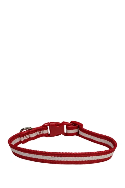 Dogs Of Glamour Marco Collar In Red/white
