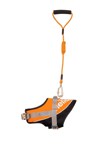 Petkit Small Orange Helios Bark-mudder Easy Tension Reflective Endurance 2-in-1 Adjustable Dog Leash & Harn