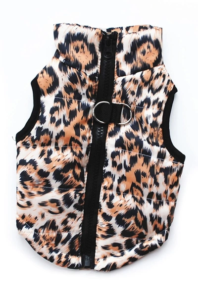 Dogs Of Glamour Small Gold Leopard Vest