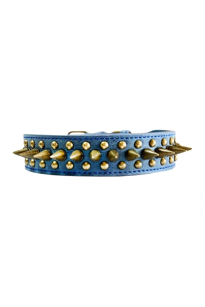 Dogs Of Glamour Greg Spiked Collar In Blue